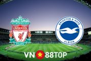 Soi kèo nhà cái, tỷ lệ kèo bóng đá: Liverpool vs Brighton Albion - 21h00 - 30/10/2021